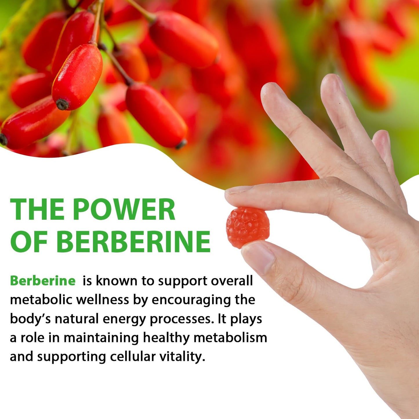 VOSIFSDIY Berberine Gummies with Ceylon Cinnmon, Berberine Supplement for Digestive Health, Immune System, Aid Overall Health & Vitality, 60p
