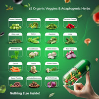 Ved VED Balance of Veggies Supplements, Fresh Superfood Formula with Vitamins and Minerals from Vegetables, 90 Vegan Capsules (Pack of 1)