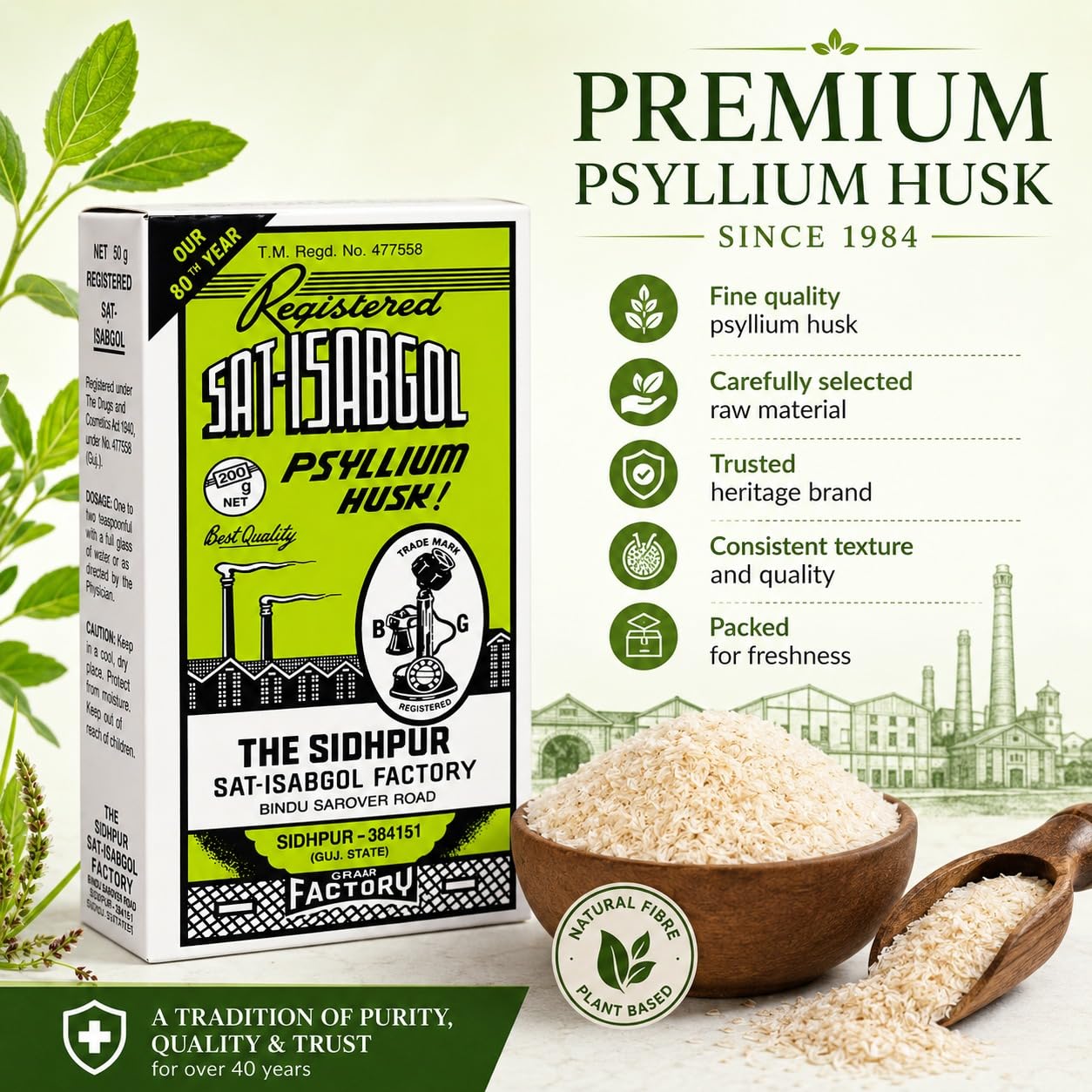 GEMERIC Sat-Isabgol (Psyllium Husk) 100g (Pack of 3)
