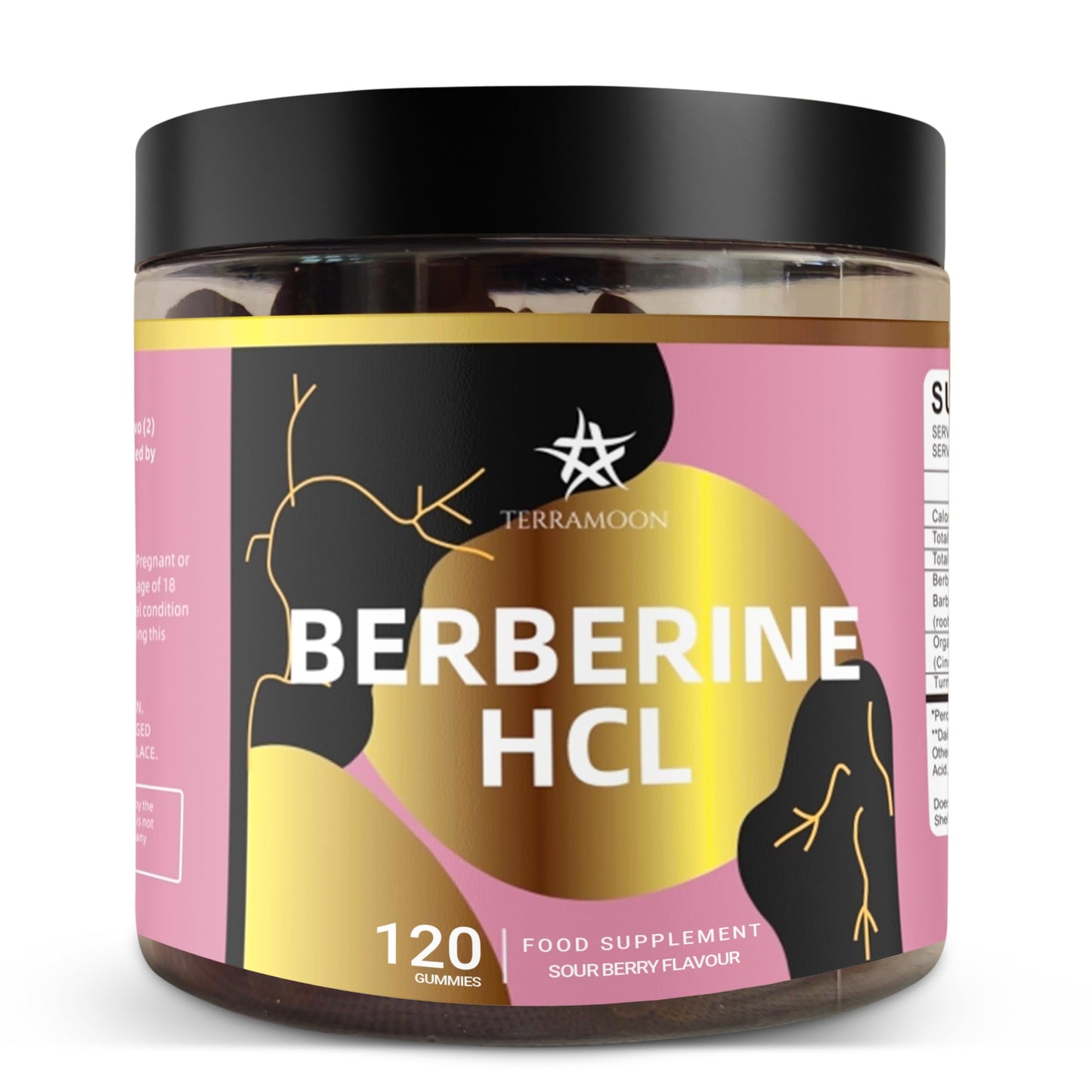 TERRAMOON Berberine HCL 98% 2000mg, 120 Gummies, 60 Day Supply, Sour Berry Flavour, with Ceylon Cinnamon 300mg, Turmeric Extract 200mg