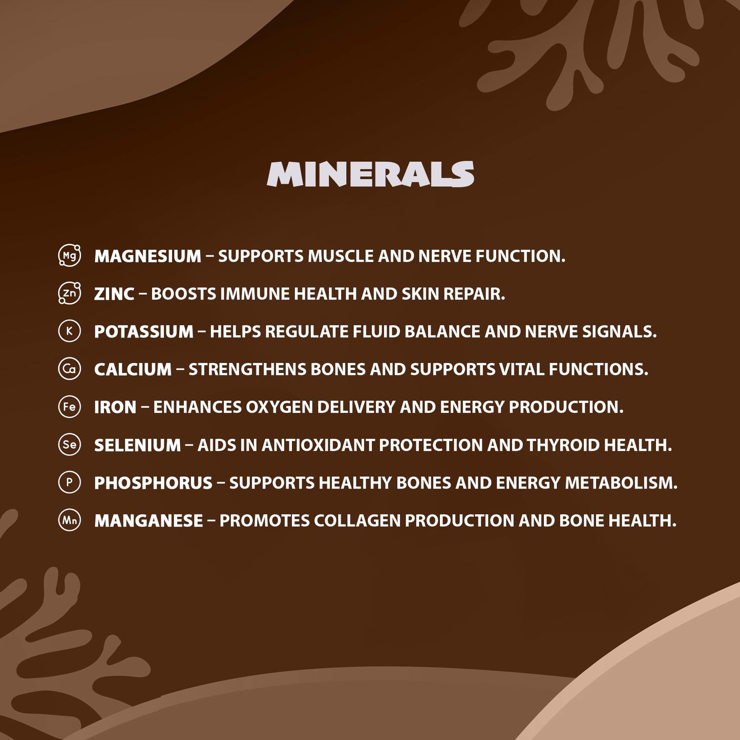 Ashwagandha, Lion's Mane, Bacopa Monnieri Capsules - Supports a Calm and Balanced Mind, Cognitive Function, and Mental Clarity - 180 Capsules - 3 Month Supply - Vegan, Non-GMO, 100% Natural