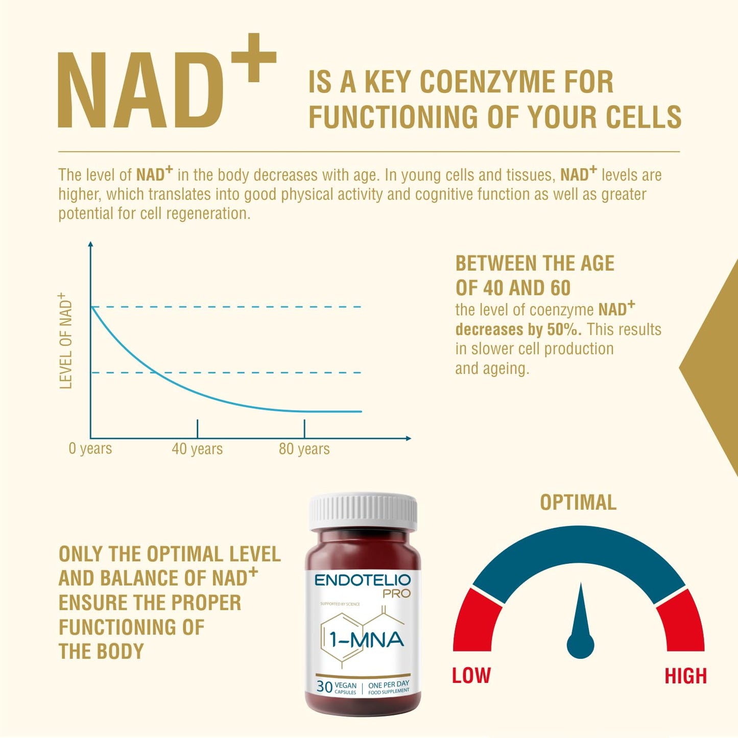 Endotelio 1-MNA PRO, Anti Aging, Optimizing NAD+, Double Dose for Faster Effects, Biohacking Supplement, Support for Cellular Health, Scientifically Formulated, 30 Easy Swallow Caps