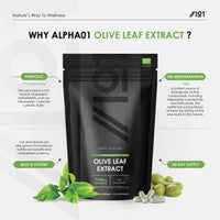 ALPHA01 Organic Olive Leaf Extract 7500mg | Wild European 20% Oleuropein (750mg 1:15 Extract) | No Additives | Non-GMO | Gluten Free | 60 Vegan Capsules