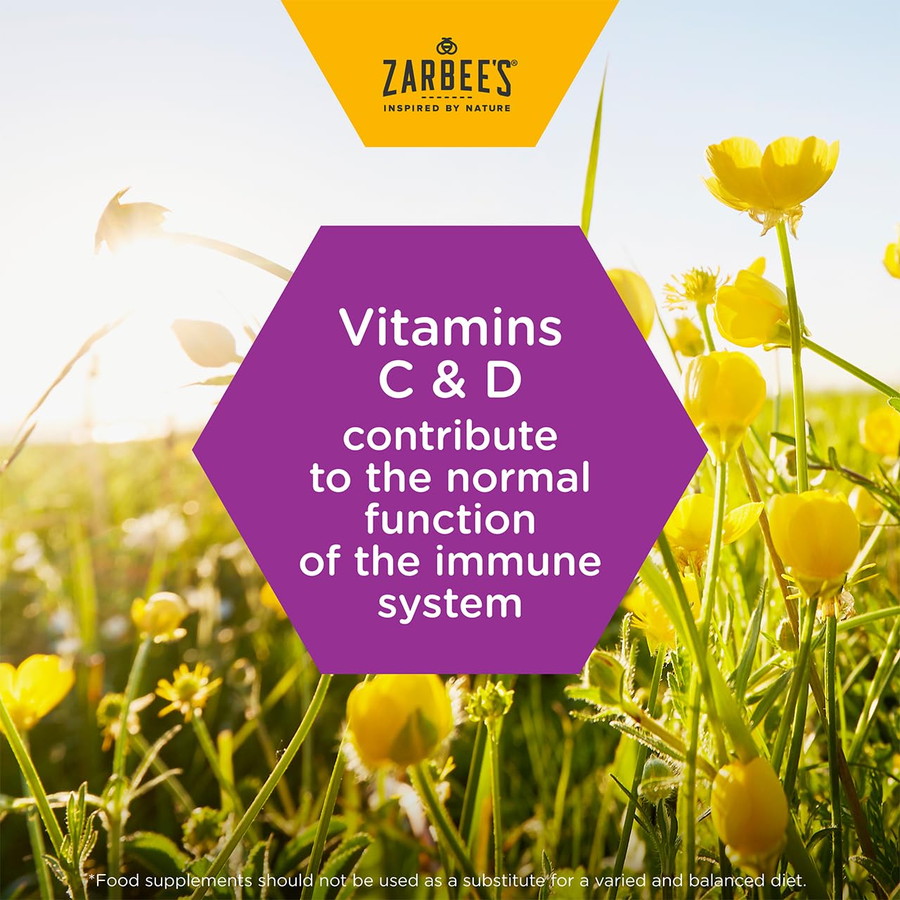 Zarbee's Adult Immune Support Liquid Multivitamin, 120ml