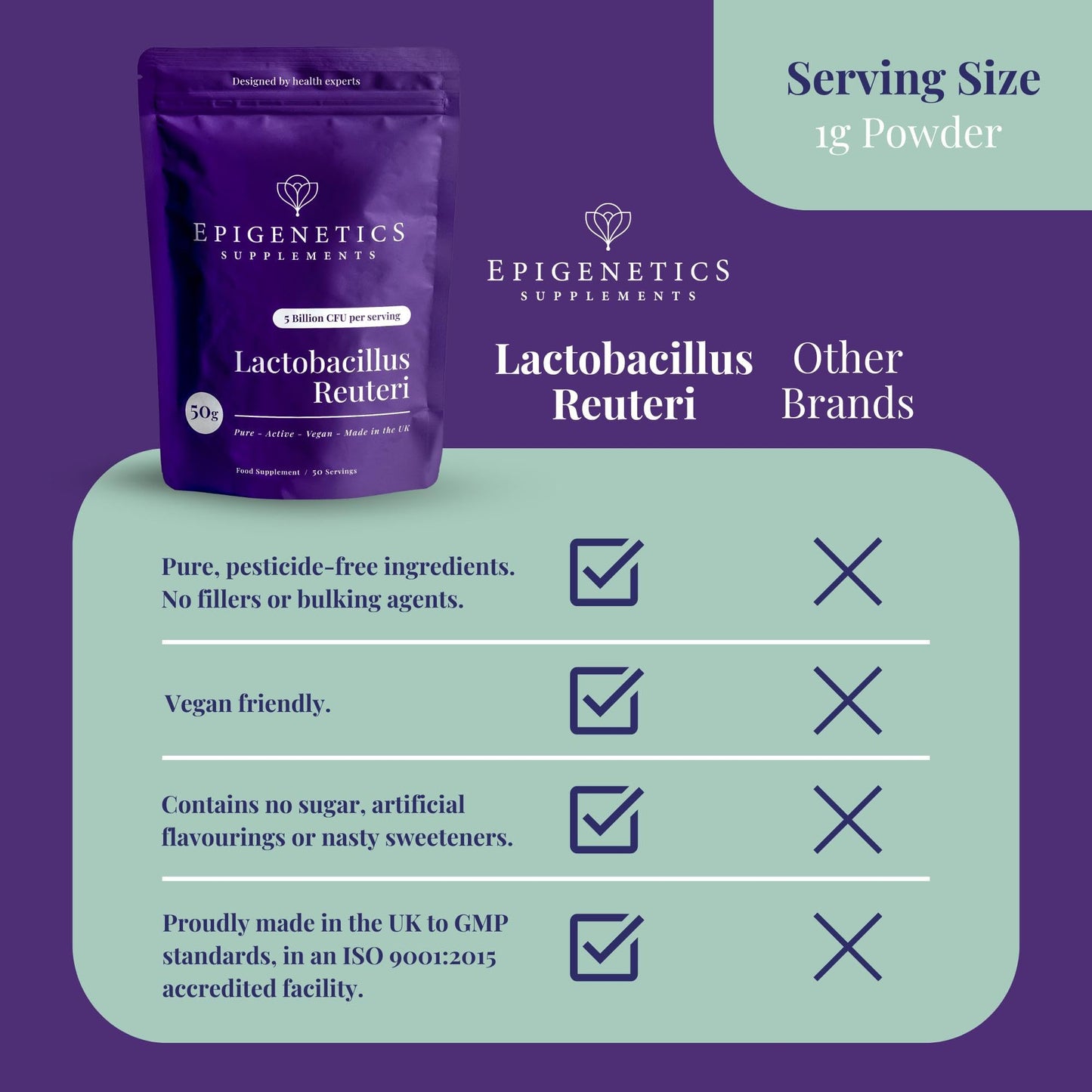 Lactobacillus Reuteri 50g | Yoghurt Starter Culture Kit | 5 Billion CFU Probiotic + Chicory Root Prebiotic (Inulin) | Vegan Friendly Powder UK Made | 1g Daily (50 Servings)