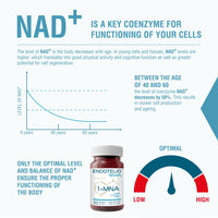 ENDOTELIO Endotelio Brain 1-MNA, Anti Aging, Optimizing NAD+, Ginkgo Biloba, Zinc, Biotin, Vitamin C and B Complex, Biohacking Supplement, Memory, Focus, Mood, Enhanced Bioavailability, 30 Caps