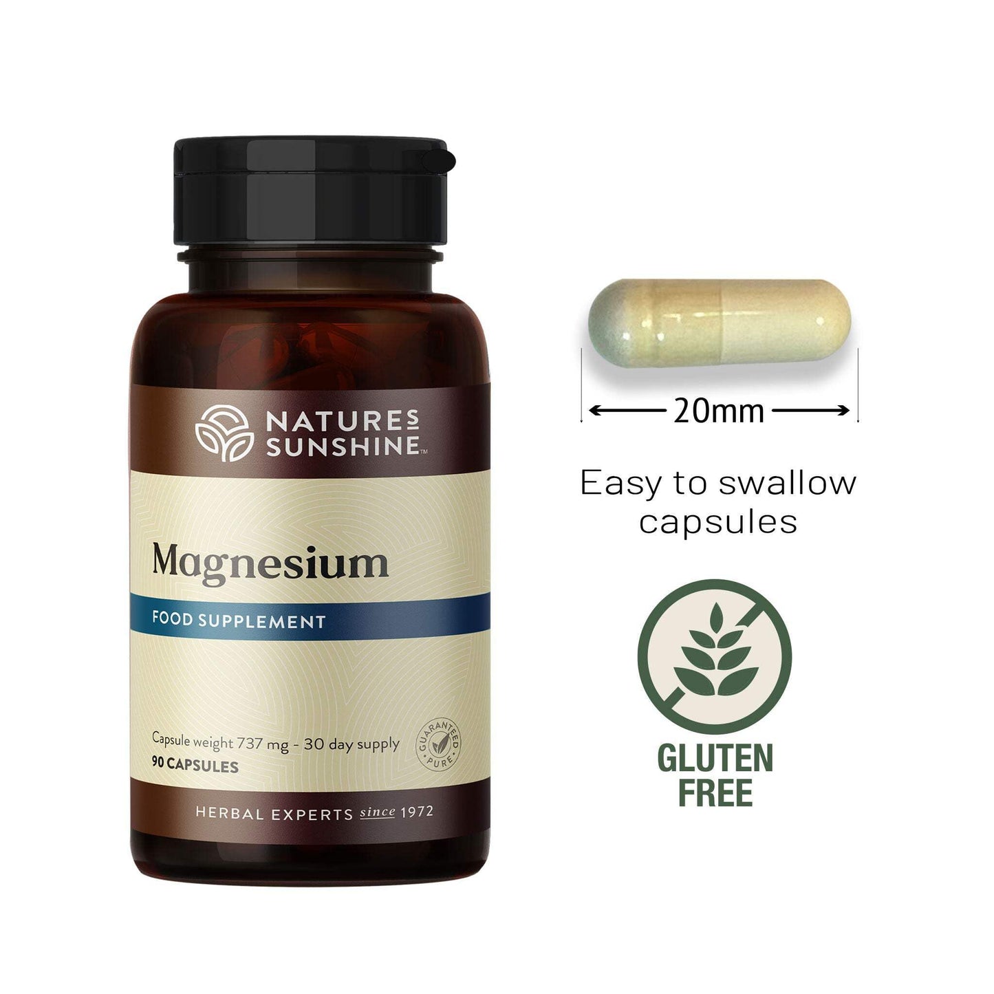 Nature's Sunshine Magnesium (80 mg magnesium, 350 mg malic acid)