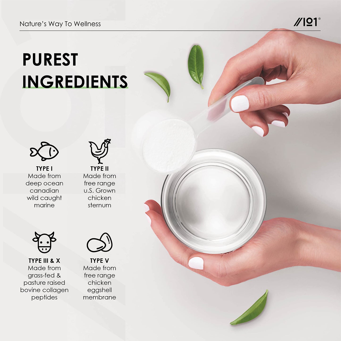 Multi Collagen Protein Powder (400g) - Types I, II, III, V & X - Hydrolyzed Grass Fed Bovine, Wild Caught Fish, & Free-Range Chicken & Eggshell Collagen. Non-GMO, Halal.