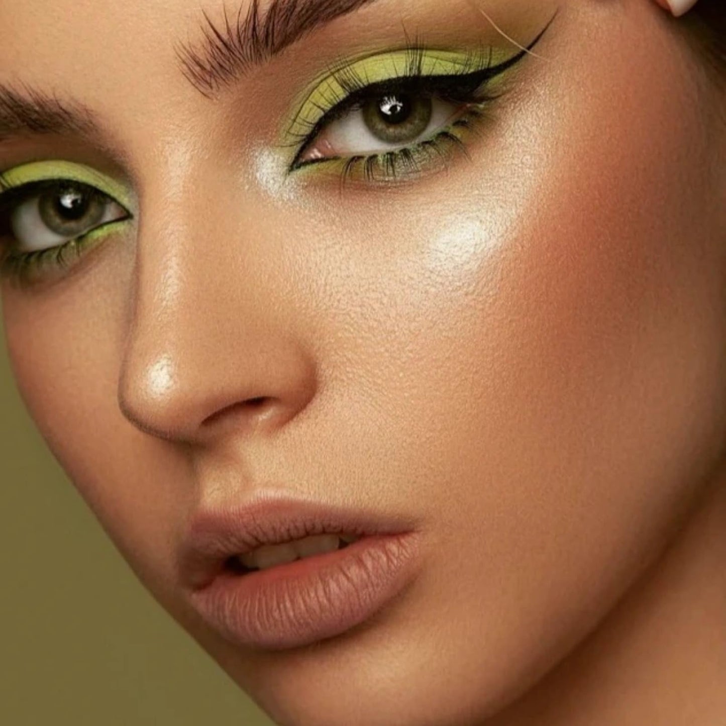 HIVETZ Shimmer & Glitter Eye Shadow Palette - Highly Pigmented Green Eyeshadows, 3 Brushes Included