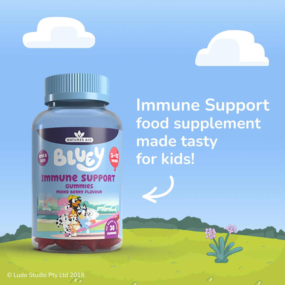 Natures Aid Bluey Kids Immune Support Gummies - Vitamin C, Zinc & Elderberry to Support Immunity and Immune System - Mixed Berry, No Added Sugar, Vegan, Gluten Free - 30 Gummys for Children Ages 3-12