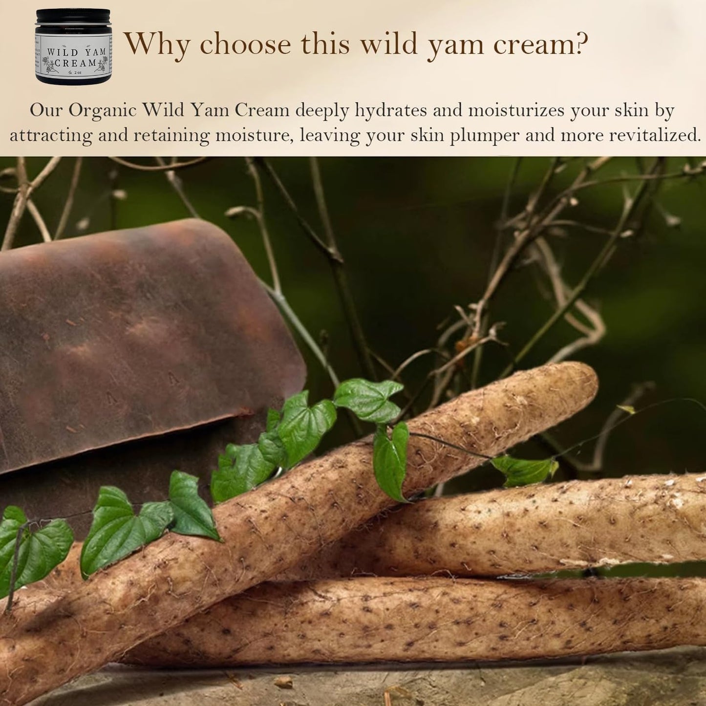 Generic 2PCS Wild Yam Skin Cream, Wild Yam Cream, 60ml Wild Yam Cream Organic for Natural Balance, Natural Relief for Menopause Dry Skin, Menopause Botanical Balancing Body Cream(60g/2 oz)