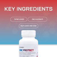 Synergy Worldwide Zinc Protect 120 Tablets | 15 mg Zinc per Tablet | Supports Immune Function | Vital Mineral for Optimal Health and Wellbeing | 76,2 gr