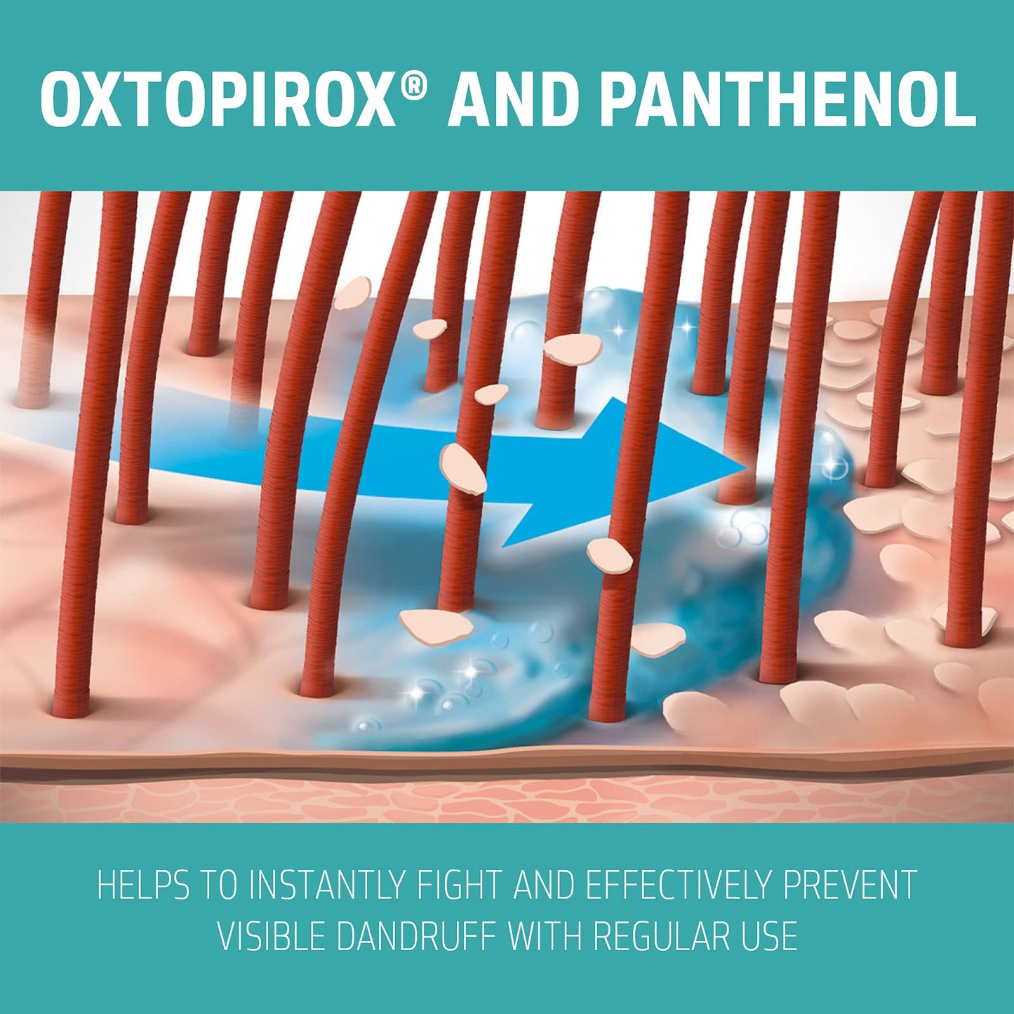 Goldwell Dualsenses Scalp Specialist Anti-Dandruff Shampoo 250ml