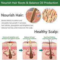 AmiCera Rosemary Oil for Hair Growth, Organic Pure Rosemary Essential Oil, with Derma Roller for Hair, Hair Strengthening for Men Women, Scalp Massage & Nourish, Eyebrow Eyelash Growth Oils, 60ml, 2 Brushes