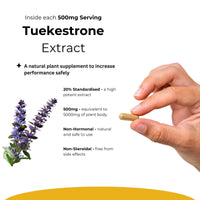 Turkesterone Supplement 5000mg - 120 Caps High Strength - Standardized to 20% Ajuga Turkestanica Extract - for Muscle and Strength - Pure Extract No Additives Or Filler