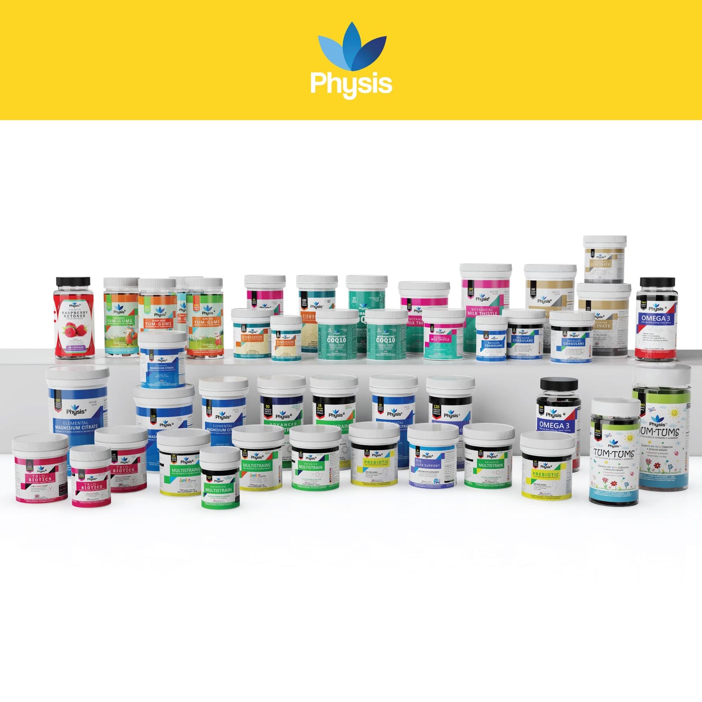 Physis Bio Cultures Blend Prebiotics Capsules | 60 Capsules | Pre and Probiotics for Gut Health | Bio Cultures Complex for Improved Digestion | Concentrated Lactobacillus Acidophilus Probiotics