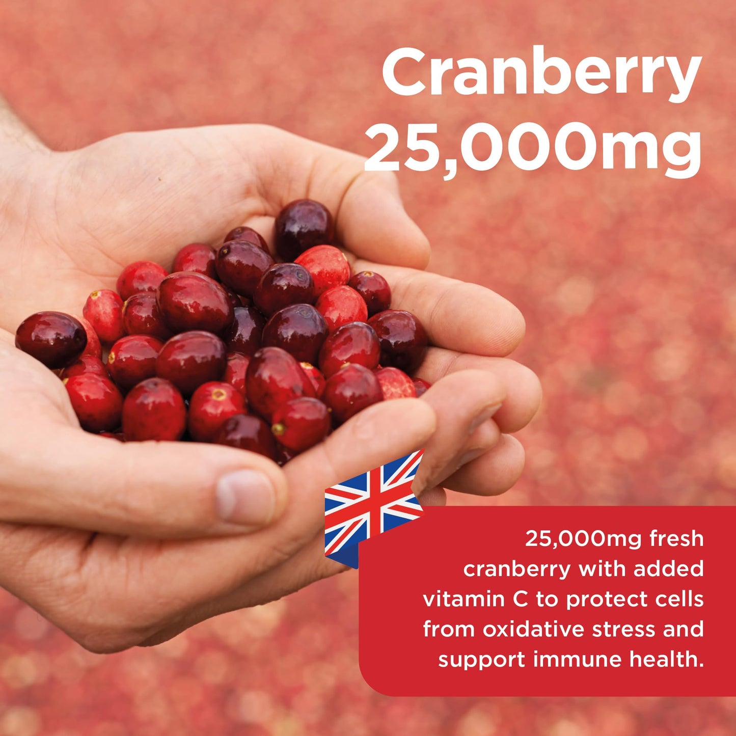 Healthspan Cranberry 25,000mg | 60 Capsules | Immune Health | 40mg Vitamin C | Equivalent to 25,000mg of Whole Fresh Cranberries | Vegan