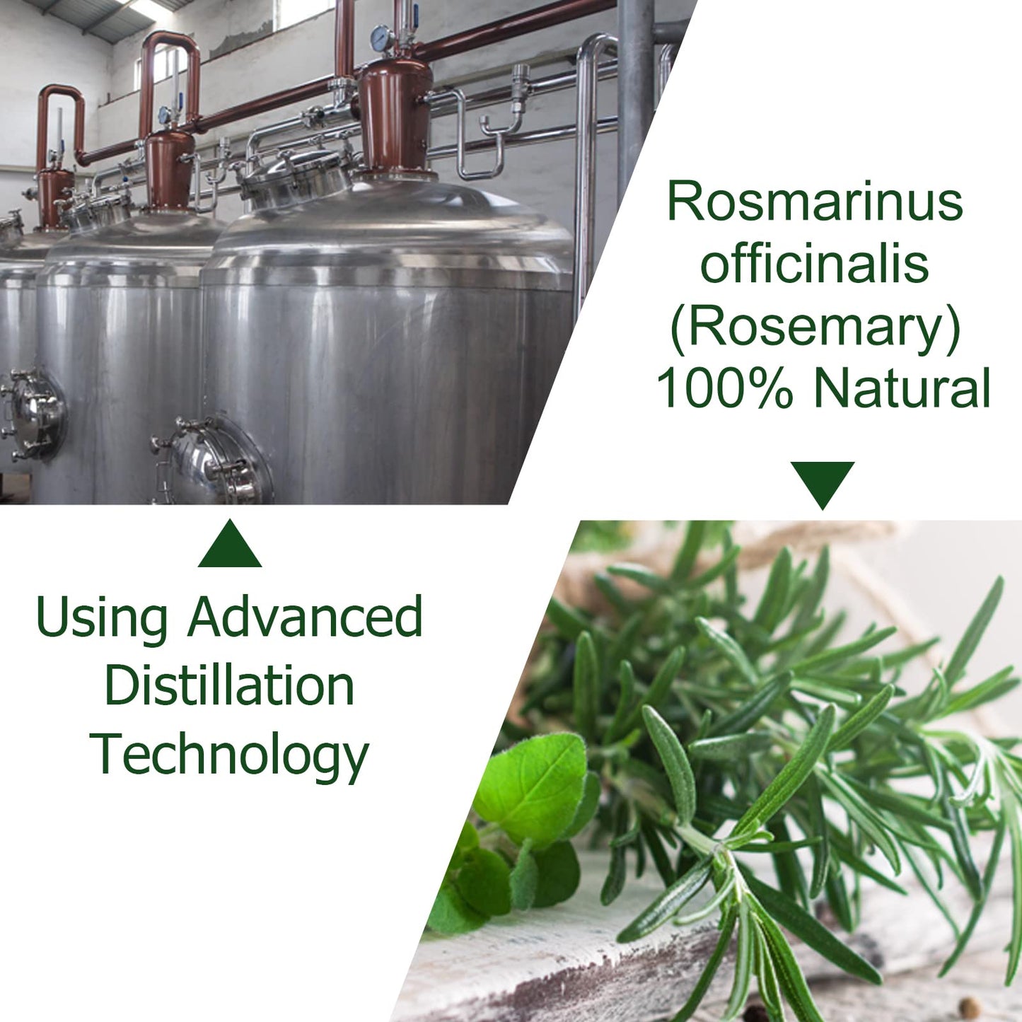 Generic Rosemary Essential Oil For Hair Growth, 100% Pure Rosemary Essential Oil, Stimulates Hair Growth, Nourishes The Scalp, Strengthens Hair, For Hair Growth & Skin Care 60Ml