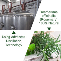 Generic Rosemary Essential Oil For Hair Growth, 100% Pure Rosemary Essential Oil, Stimulates Hair Growth, Nourishes The Scalp, Strengthens Hair, For Hair Growth & Skin Care 60Ml