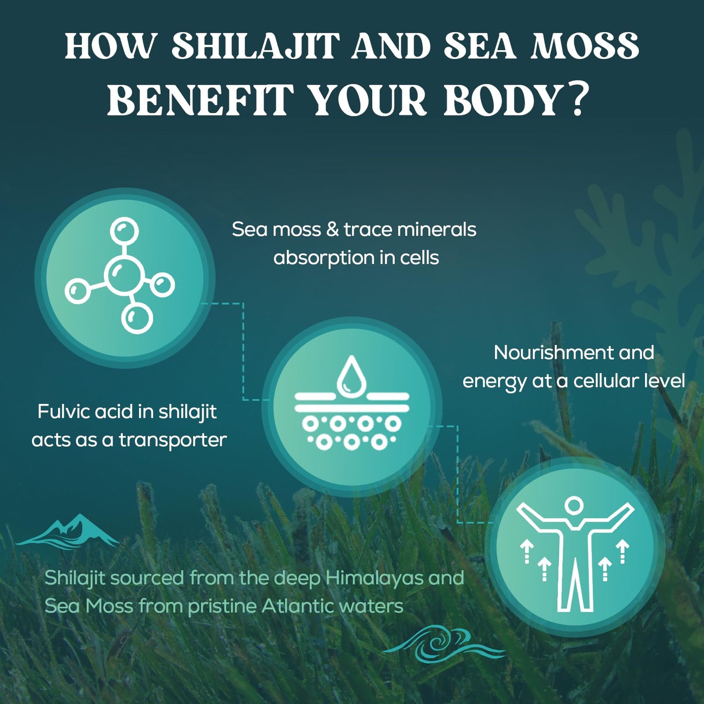 Cheroline Shilajit Sea Moss and Ashwagandha Gummies 1500mg Per Serving, Enriched with 60% Fulvic Acid & 85+ Trace Minerals, High Strength Complex for Energy, More Convenient Than Resin (60 Count (Pack of 2))