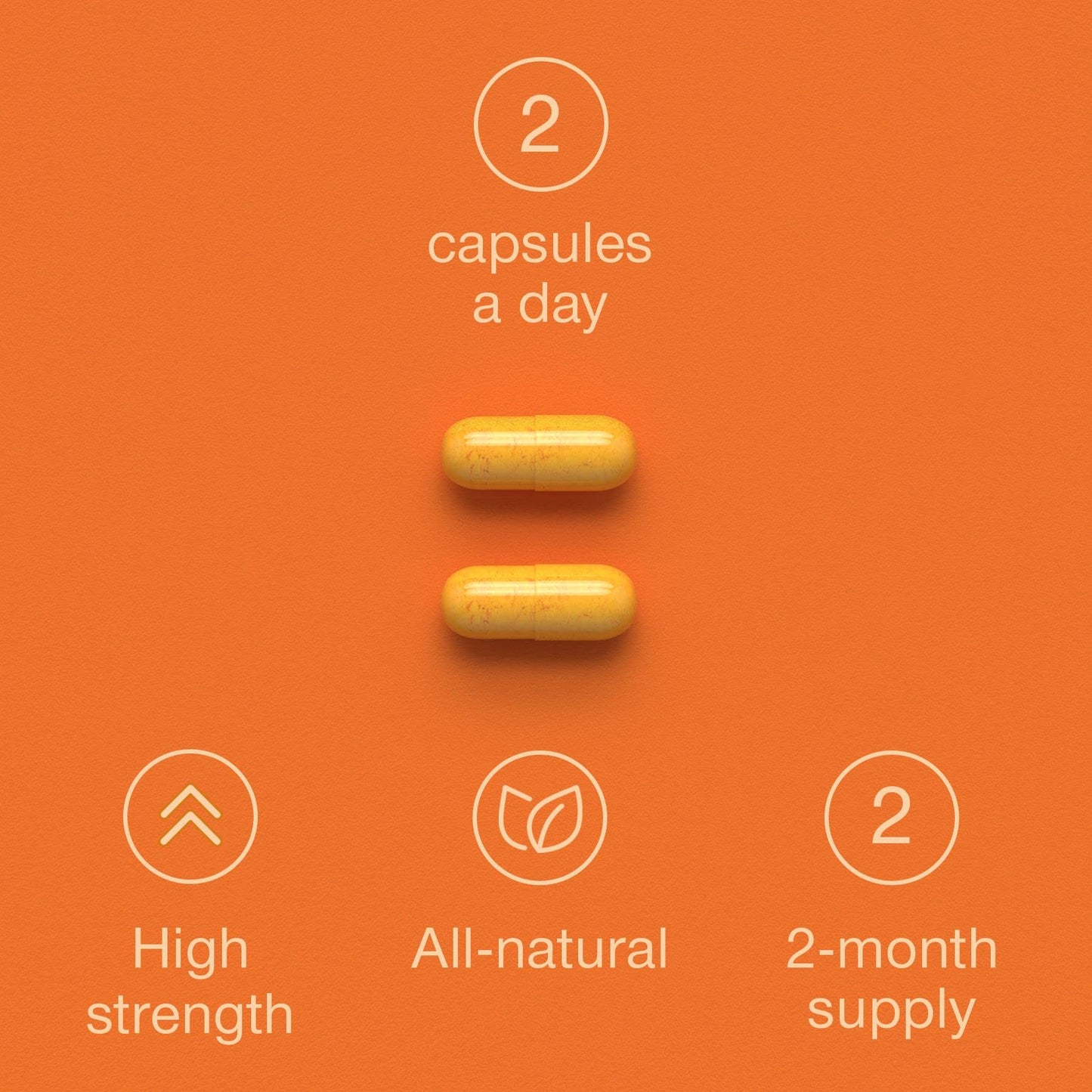 Immune System Booster - Immune Support & Recovery Supplement - Vitamin C, B12, Zinc, Iron, Selenium, Elderberry, Probiotics - Immune System Vitamins for Adults - 120 Capsules - Vegan Immunity Complex