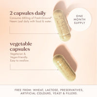 Fushi Organic Neem Leaf Capsules, 60 Caps | Fresh-Ground Whole Food | Detoxifying properties | Cleansing Herb, Purify Both Inside & Outside Body | Ethical & Vegan | Made in the UK
