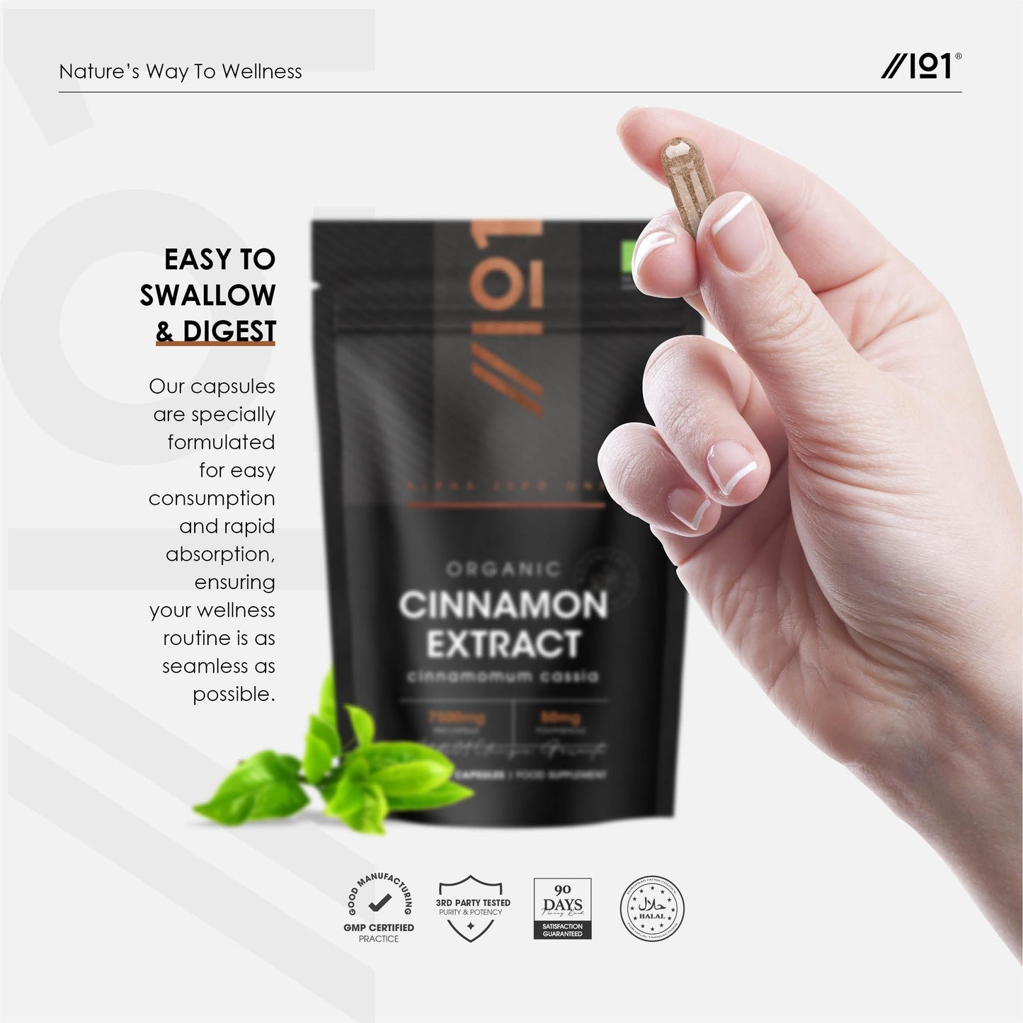 ALPHA01 Organic Cinnamon Extract 7500mg - 10% Polyphenols High Strength Cinnamon Supplement - 90 Vegan Capsules (3 Months Supply) - Resealable and Recyclable Pouch by Alpha01