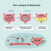 D-Mannose Complex Vegavero® | 100% Natural UTI Support | NO Additives, Lab-Tested | with Cranberry, Vitamin C, 2000mg D Mannose | 120 Capsules | Vegan