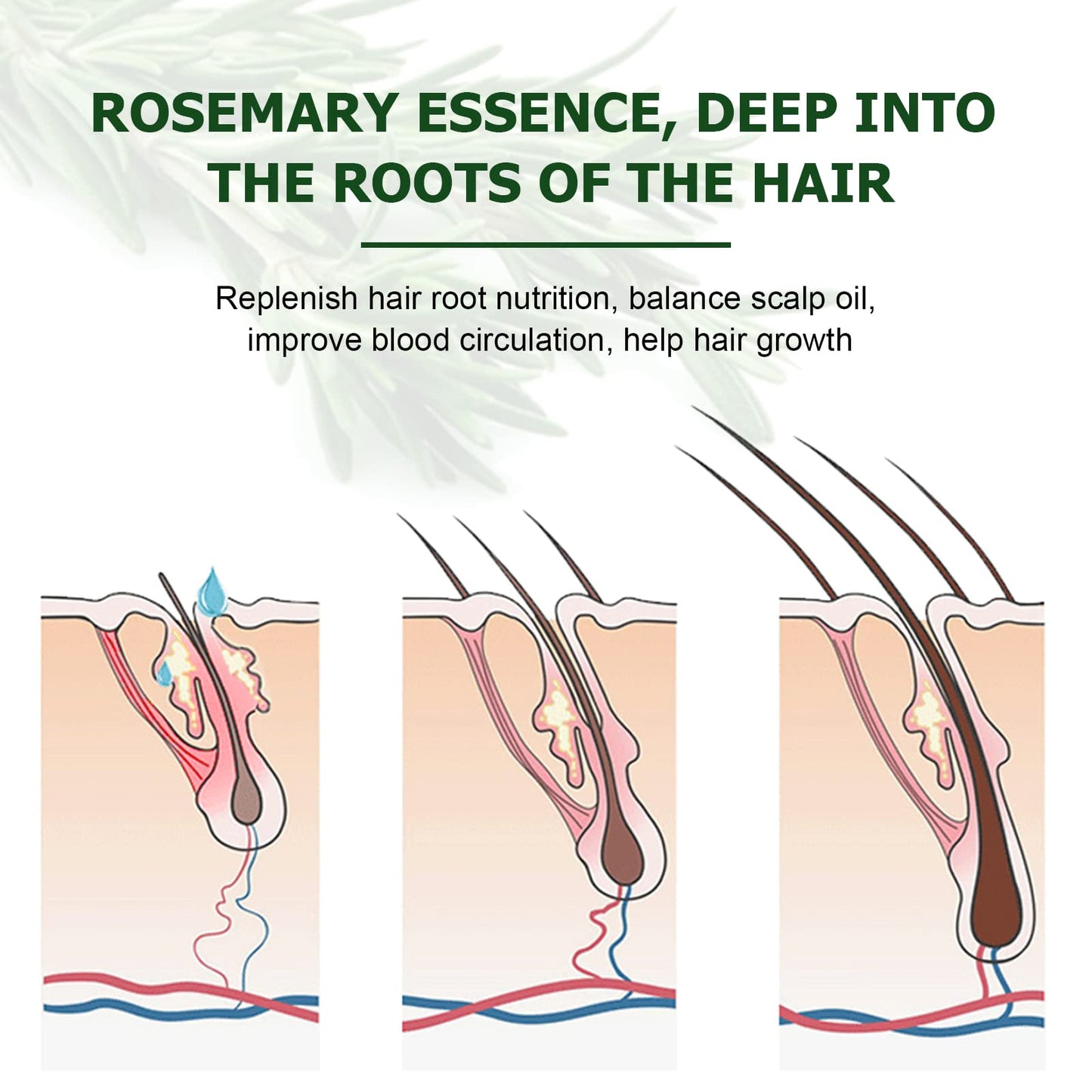 XAYGHE Rosemary Oil for Hair Growth (2PCS), Rosemary Essential Oil for Hair Growth & Skin Care, Pure Natural Hair Oil Serum, Strong Hair Root, Eyebrow and Eyelash Growth Massage Oil- 60ml*2 (60ml*2)