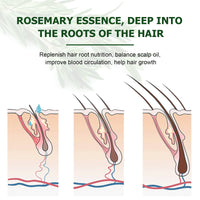 XAYGHE Rosemary Hair Growth Oil, Rosemary Essential Oil, Rosemary Oil for Hair Growth | Eyebrow and Eyelash Growth | Skin Care, 100% Pure Natural Hair Oil Serum, Stimulates Hair Growth, 60ml