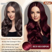 SingHao Polar Hair Dye Shampoo,3 in 1 Instant H/air D/ye Sha/mpoo,Ha/ir Care Instant Dy/e Sham/poo,Nova Hai/r D/ye Shampoo,Red Brown Ha/ir Dye,Permanent Gray H/air Coverage,Hai/r Color Sham/poo for Hair#Red