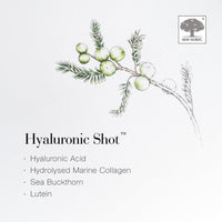 New Nordic Hyaluronic Shot | Hyaluronic Acid with Marine Collagen Supplement | to Improve Skin Elasticity and Reduce Wrinkles | Ready to Drink Fresh Citrus Flavour | 15 Sachets