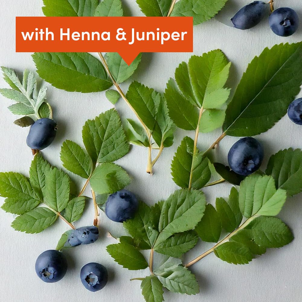 grüum Shine Boost Shampoo Bar 50g - Shampoo Bars for Hair Up to 60 Washes Soap Bar - Plastic Free Vegan Shampoo Bar for Men & Women - Paraben Free Soap Bar Shampoo for Colour Treated Hairs