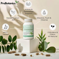 ProBotanics Chanca Piedra Stone Breaker Capsules | Kidney, Liver & Gallbladder Support – Dissolve, Flush & Cleanse | 900mg Per Serving (10:1 Extract Equiv. to 9000mg) Kidney Cleanse Supplement - 60 Capsules