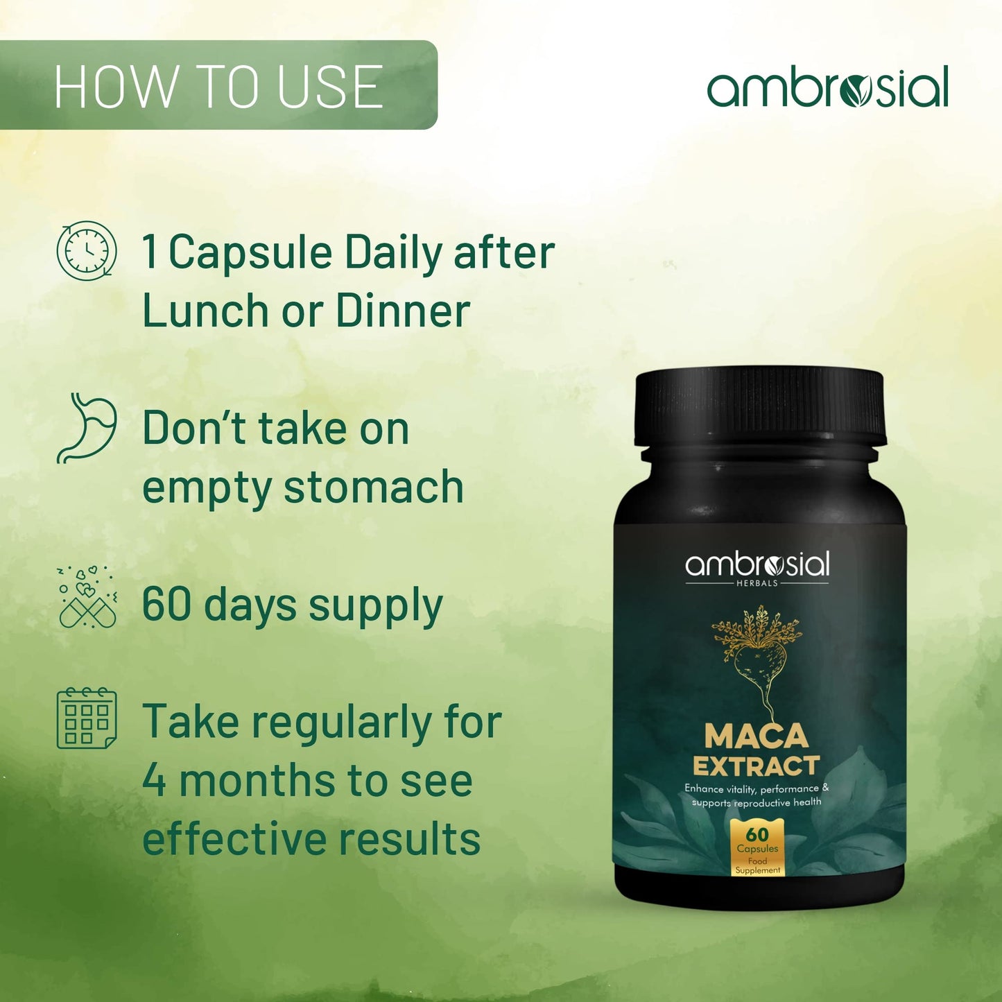 AMBROSIAL Ambrosial Maca Root Capsules for Women & Men | High Strength 500 mg Maca Powder per Capsule | Supports Building Stamina & Energy (Pack of 1-60 Capsules)