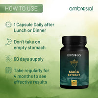 AMBROSIAL Ambrosial Maca Root Capsules for Women & Men | High Strength 500 mg Maca Powder per Capsule | Supports Building Stamina & Energy (Pack of 1-60 Capsules)