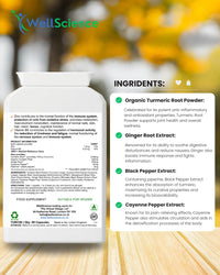 Wellscience WellScience GoldenHeal Blend: Immune Support, Anti-Inflammatory, and Digestive Health - Organic Turmeric, Curcumin, Black Pepper, Ginger & Cayenne