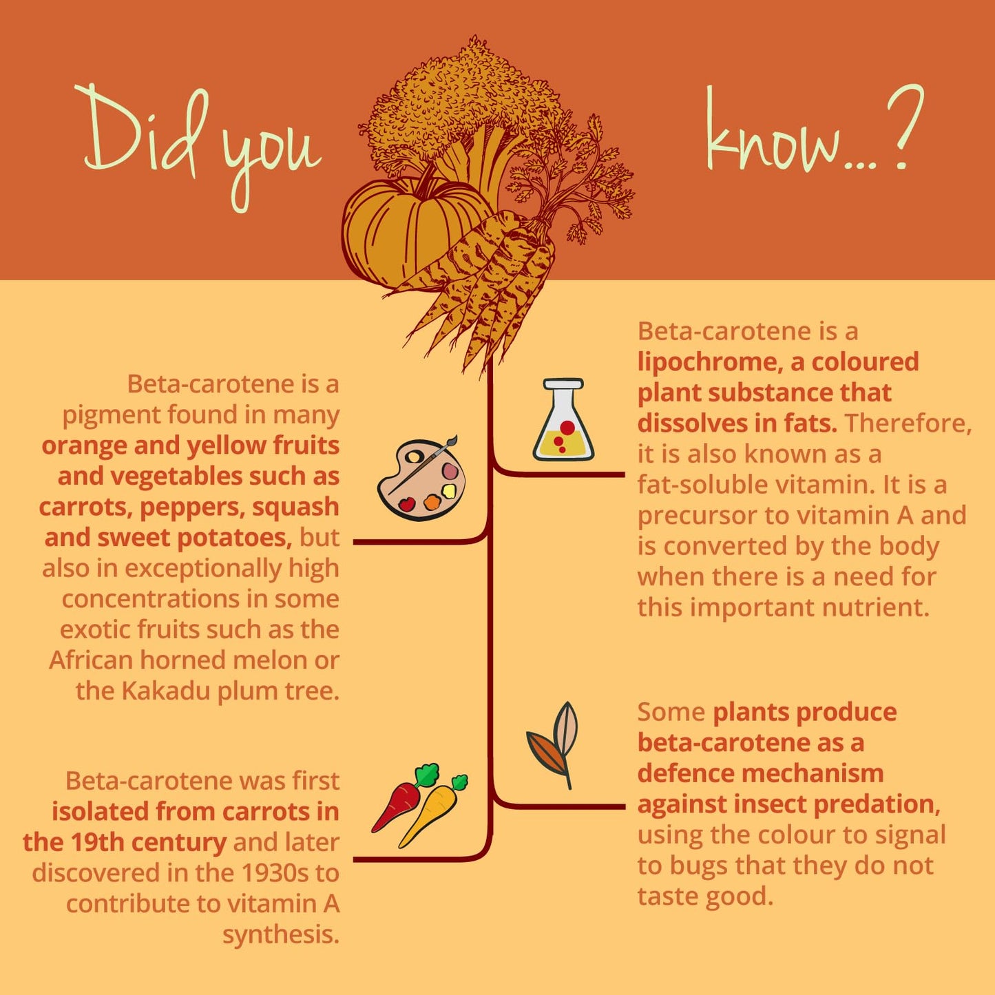 Beta Carotene Vegavero® | 180 Capsules | Tan Accelerator | 100% Natural Source of Vitamin A | NO Additives, Lab-Tested | Vegan