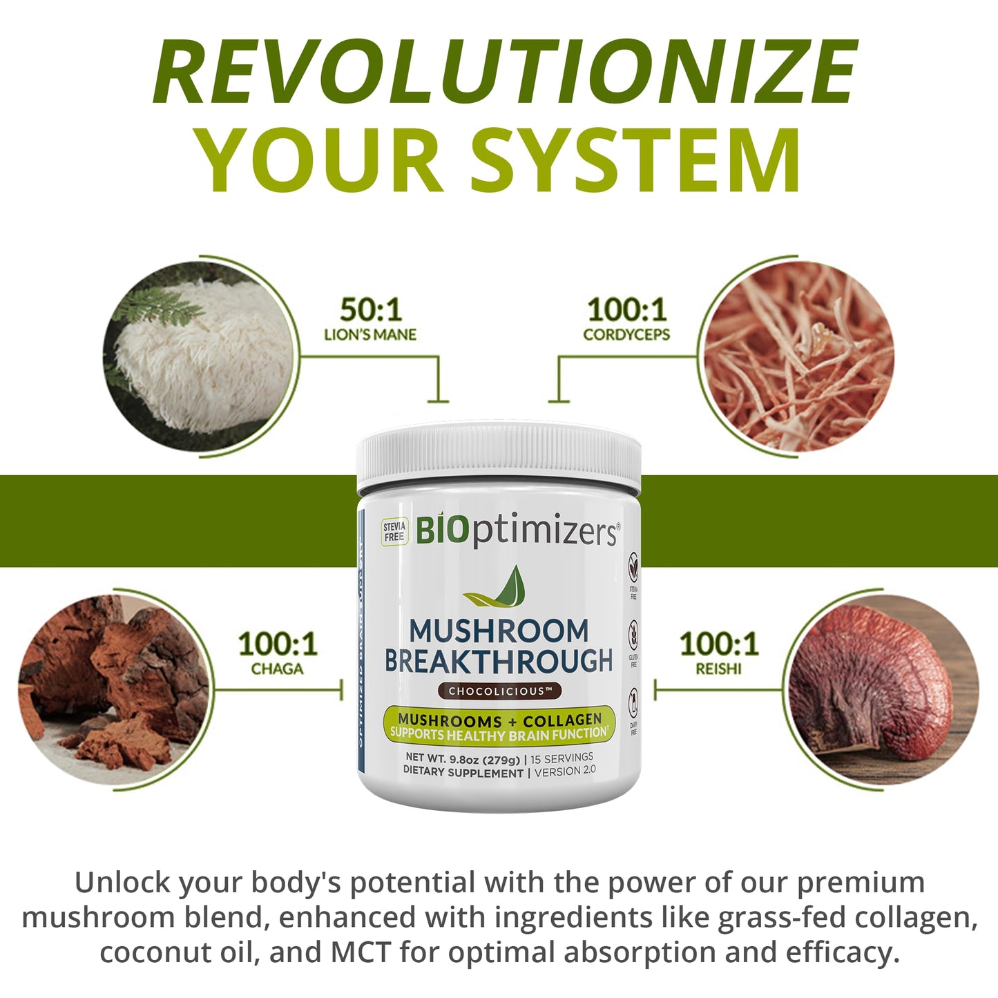 BiOptimizers Chocolicious Mushroom Breakthrough | Nootropic Supplement Blended Powder of Mushroom, Collagen & Superfoods: Lion’s Mane, Chaga, Reishi | 30 Servings