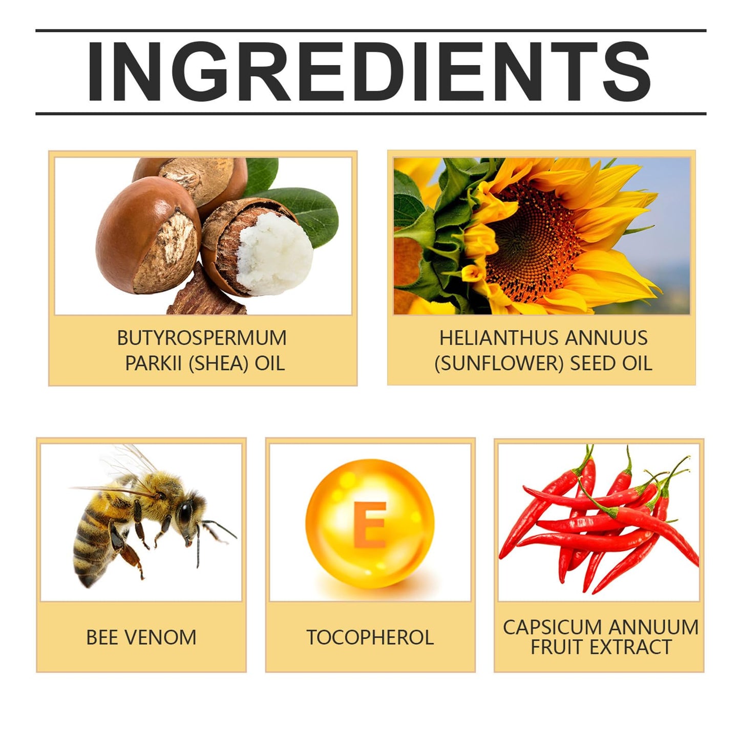 ChicNana Bee Venom Cream Skin Tightening Cream for Face Anti Wrinkle Face Cream Wrinkle Removal Face Lift Skin Treatmen For Fine Line Women