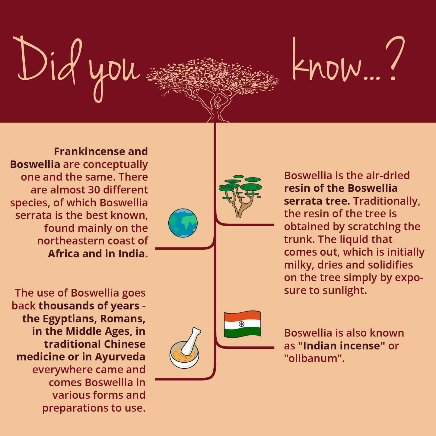 BOSWELLIA SERRATA Vegavero® | 7500mg 15:1 Extract 85% Boswellic Acids | NO Additives | Indian Frankincense Gum Resin Extract | Supports Healthy Bones and Joints | 120 Capsules | Vegan