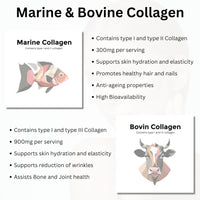 Re-Coll 1200mg Collagen Capsules - High Strength Supplement with Hyaluronic Acid - for Hair Skin & Nails - Contains Bovine & Marine Collagen for Women & Men (120 Count)