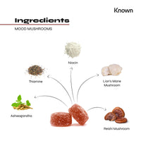 Known - Mood Mushrooms - 60 x Two-a-Day Vegan Gummies with Reishi Mushrooms, Lions Mane and Ashwagandha - Halal Apple Pie Flavoured Adaptogenic Mushroom Gummy - Nootropic Supplement for Mood & Stress