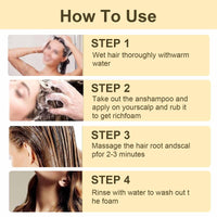Bisienya Ginger Plant Extract Anti-Hair Loss Hair Shampoo, Ginger Extract Shampoo, Plant Extract Oil Control Anti-Dandruff Shampoo for Hair Growth, Ginger Anti Hair Loss Shampoo for Women & Men