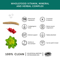 Stress Aid Complex – Together Health – 5 Essential B Vitamins – Schisandra, Ashwagandha & Rhodiola – Ocean-Sourced Magnesium – Vegan Friendly – Made in The UK - 150 Vegecaps