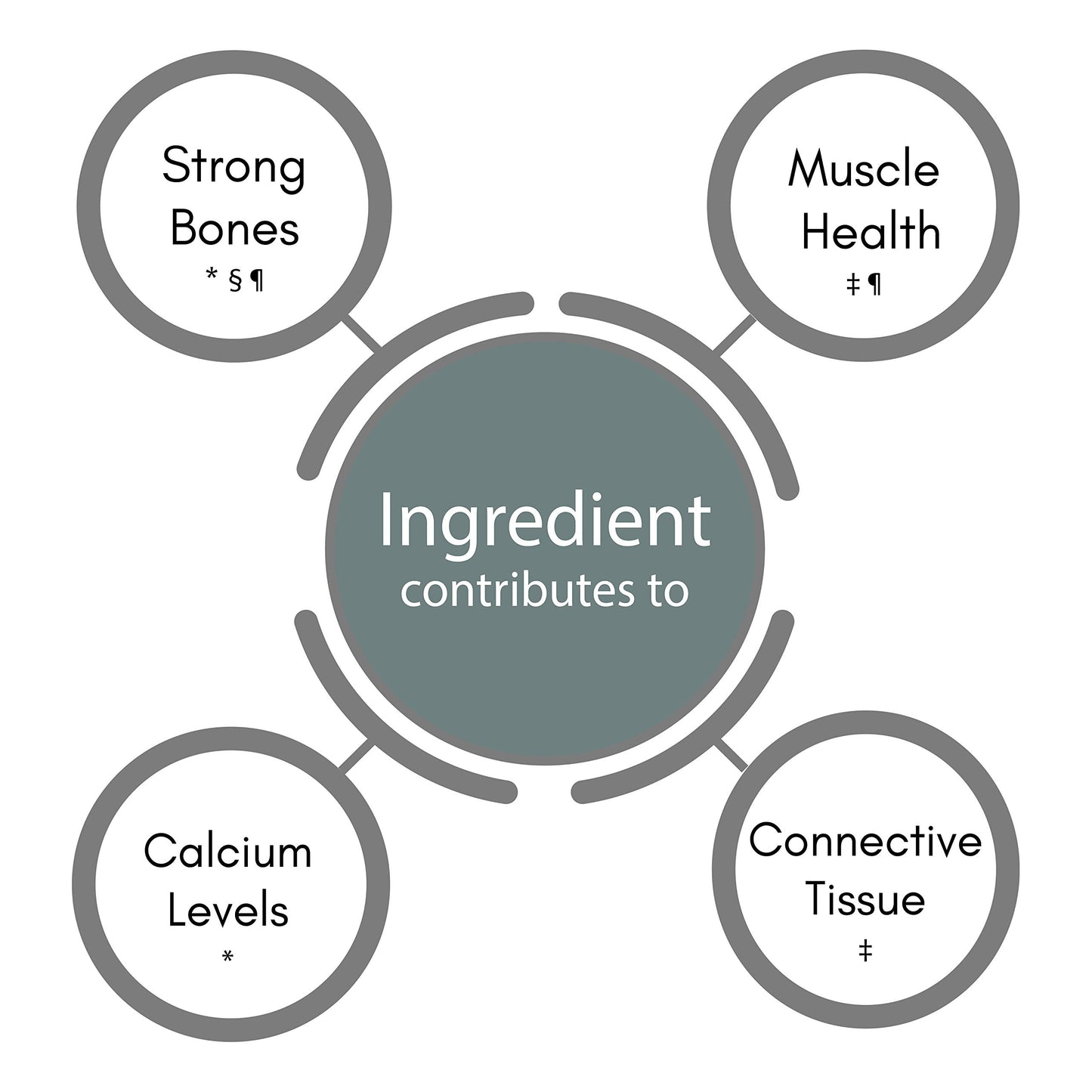 SynBio Premium+ - Osteo Health - Bone and Muscle Support | 60 Vegetarian Capsules | Made in The UK | Vitamin D3 | Vitamin K2 | Magnesium | Calcium