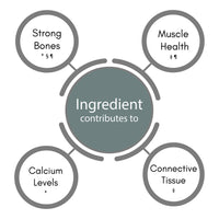 SynBio Premium+ - Osteo Health - Bone and Muscle Support | 60 Vegetarian Capsules | Made in The UK | Vitamin D3 | Vitamin K2 | Magnesium | Calcium