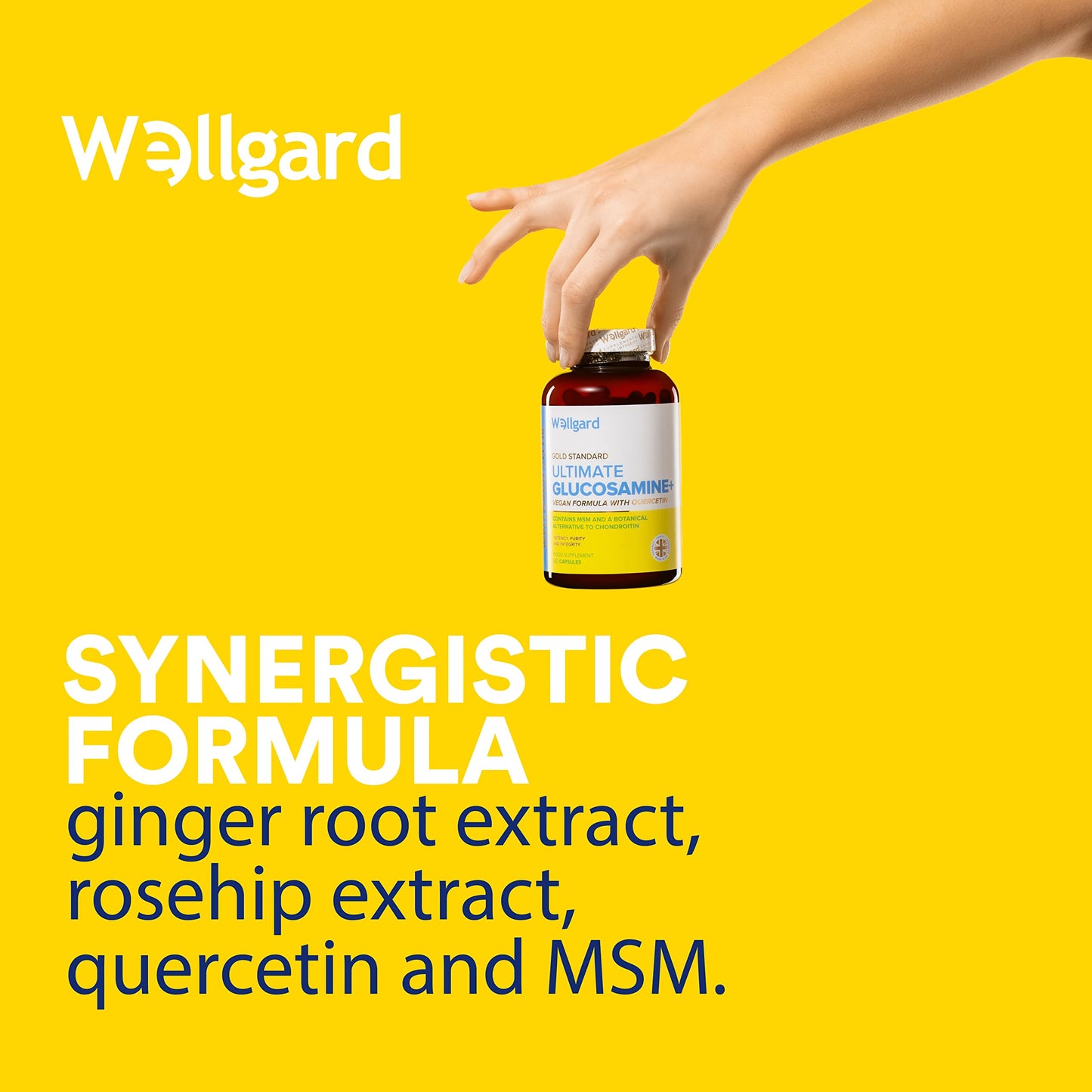 Vegan Glucosamine Phytodroitin by Wellgard - Quercetin, MSM, Botanical Alternative to Chondroitin (Phytodroitin), Ginger Extract, Extract, Rosehip, Made in UK