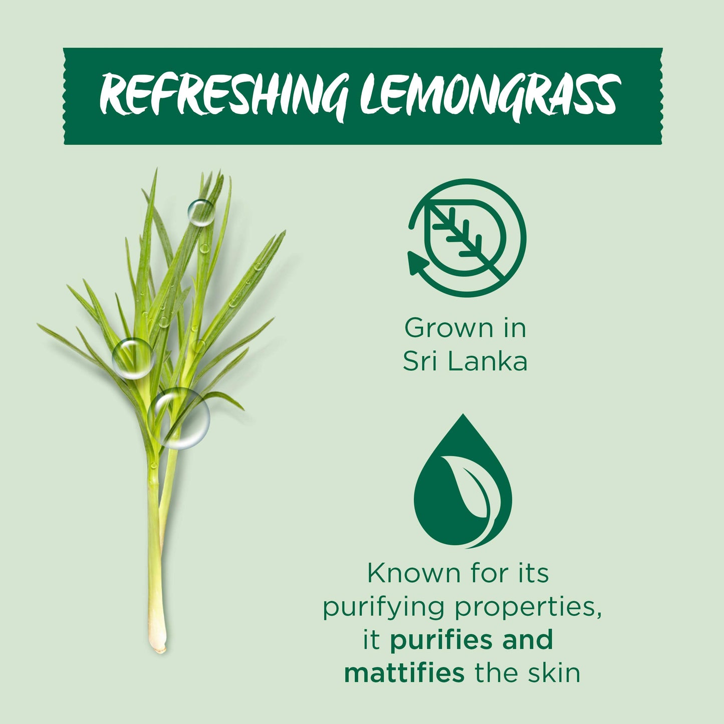 Garnier Organic Detox Gel Wash, Lemongrass, 150 Ml, Pack Of 1