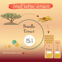 BOSWELLIA SERRATA Vegavero® | 7500mg 15:1 Extract 85% Boswellic Acids | NO Additives | Indian Frankincense Gum Resin Extract | Supports Healthy Bones and Joints | 120 Capsules | Vegan